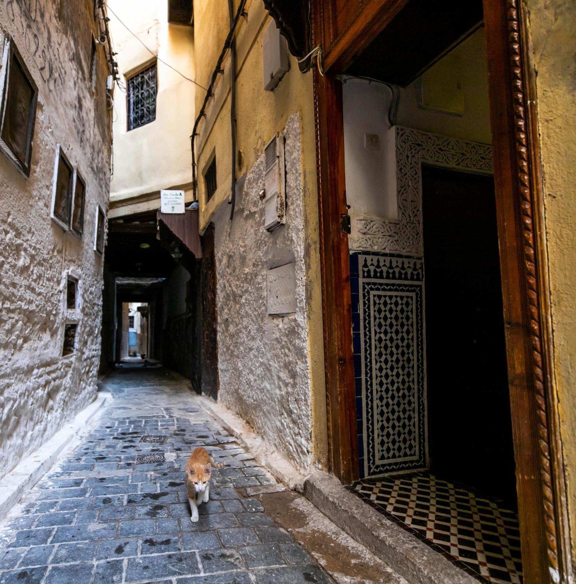 Riad Dar Omar Fez Kültér fotó